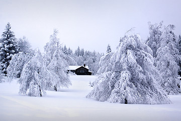 Image showing swedish winter