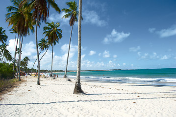 Image showing Tropical beach in Brazil 