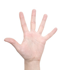 Image showing open hand