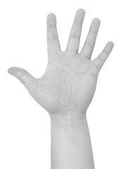 Image showing open male hand