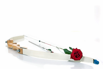 Image showing Bow, arrow and the rose