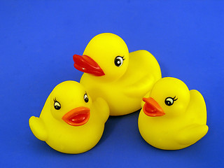 Image showing rubber ducks