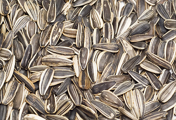 Image showing seeds of sunflower