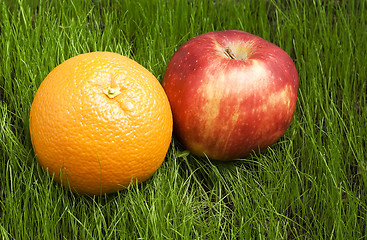 Image showing apple and orange on grass