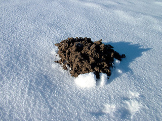 Image showing Mole hill in winter