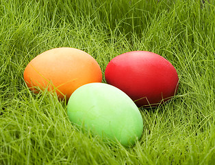 Image showing colored eggs