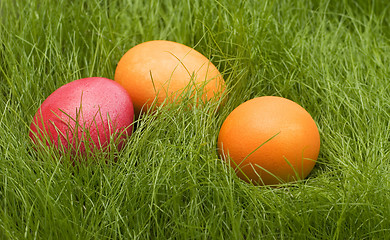 Image showing easter colored eggs