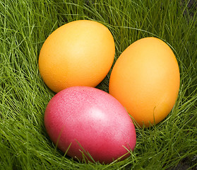 Image showing easter eggs