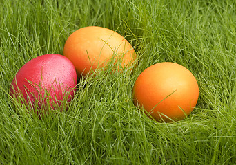 Image showing easter eggs in grass