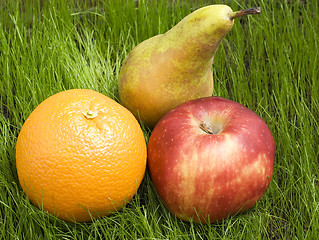 Image showing fruits on grass