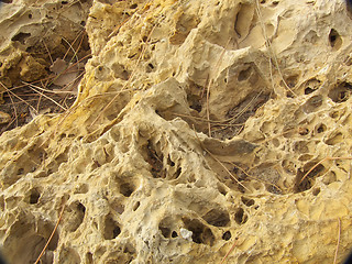 Image showing sea rock texture