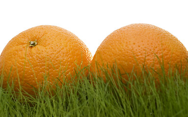 Image showing oranges on grass