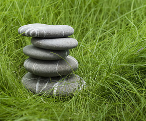 Image showing pebbles in grass