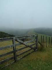 Image showing Misty Morning