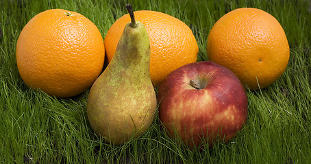 Image showing ripe fruits on grass