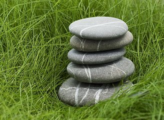 Image showing stones in grass