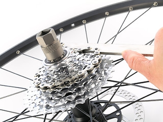 Image showing rear bicycle cog cassette