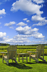 Image showing Chairs overlooking vineyard