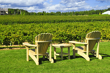 Image showing Chairs overlooking vineyard