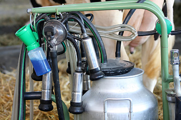 Image showing milking machines