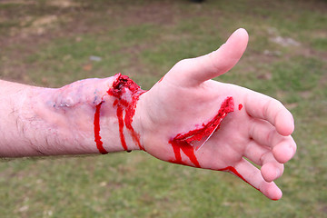 Image showing hand with blood