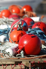 Image showing Floats on the pier