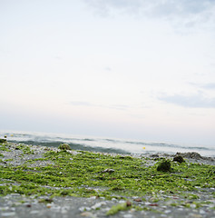 Image showing Summertime at the beach.