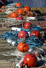 Image showing Red and orange floats