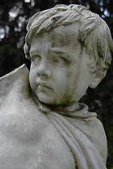 Image showing Boy