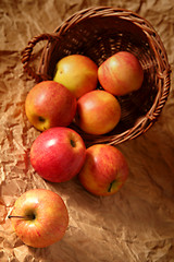 Image showing Apples