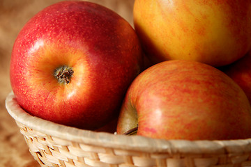 Image showing Apples