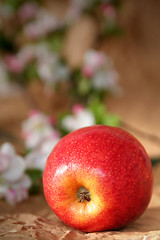 Image showing Apples and flowers