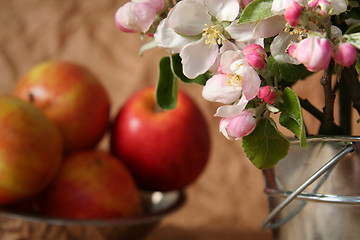 Image showing Apples and flowers