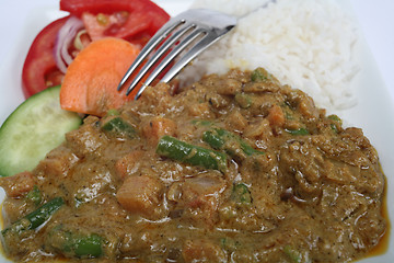 Image showing Vegetable korma meal