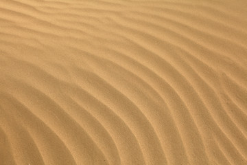 Image showing Arabian sand ripples