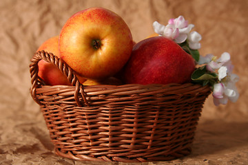 Image showing Apples and flowers