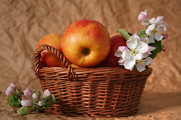 Image showing Apples and flowers