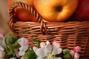 Image showing Apples and flowers