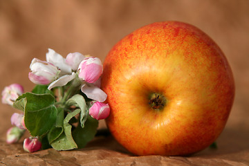 Image showing Apples and flowers
