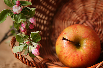 Image showing Apples and flowers