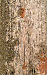 Image showing old wood