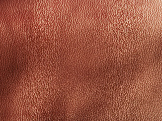 Image showing rough leather