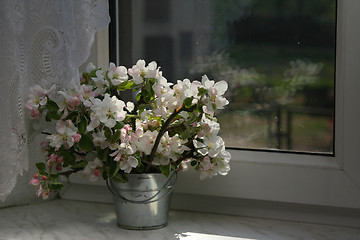 Image showing Apple-tree flowers 