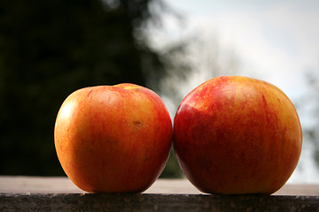 Image showing Apple window