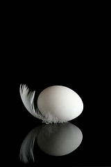 Image showing Egg on black 