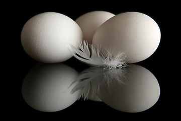 Image showing Egg on black 