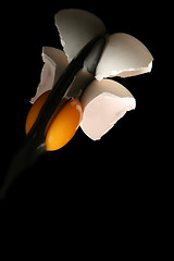 Image showing Egg on black 