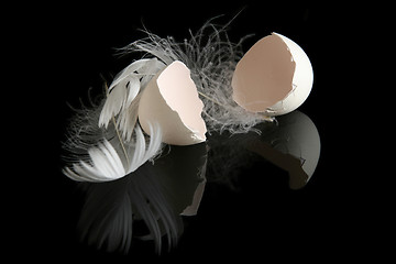 Image showing Egg on black 