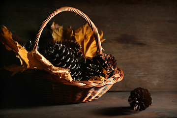 Image showing Autumnal still life