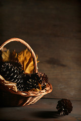 Image showing Autumnal still life